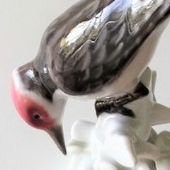 Tikka / The Woodpecker
