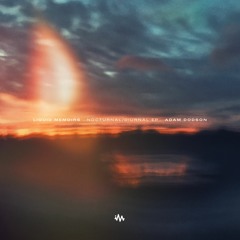 Liquid Memoirs & Adam Dodson // Nocturnal
