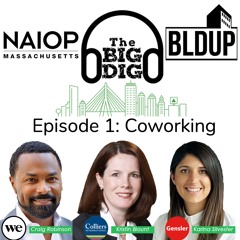 Big Dig Podcast Episode 1 - Coworking