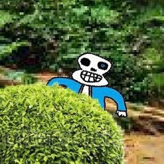 Wild Sans Encounter