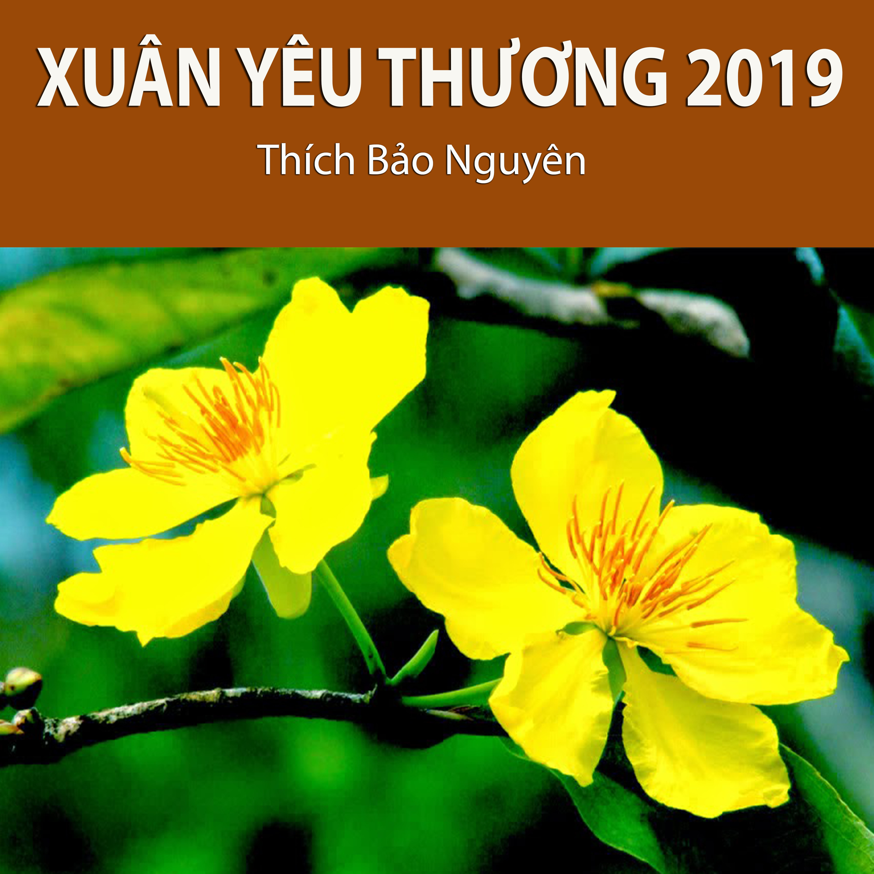 Thích Bảo Nguyên
