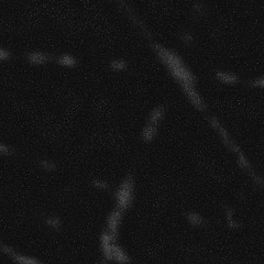 Starfishing. No disponible