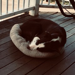 Come Around The Corner