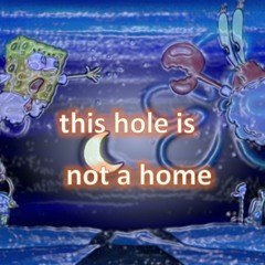 this hole is not a home