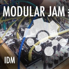 Modular Jam 20: IDM { BitBox, Ts-L, Ataraxic Iteras }