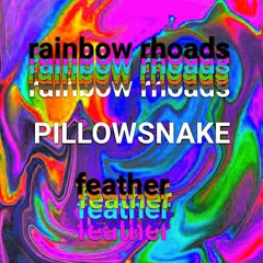 rainbow rhoads