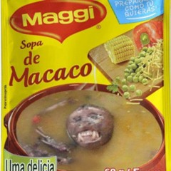 Sopa de Macaco
