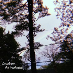 (stuck in) the treehouse