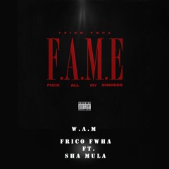 W.A.M Ft. Sha Mula