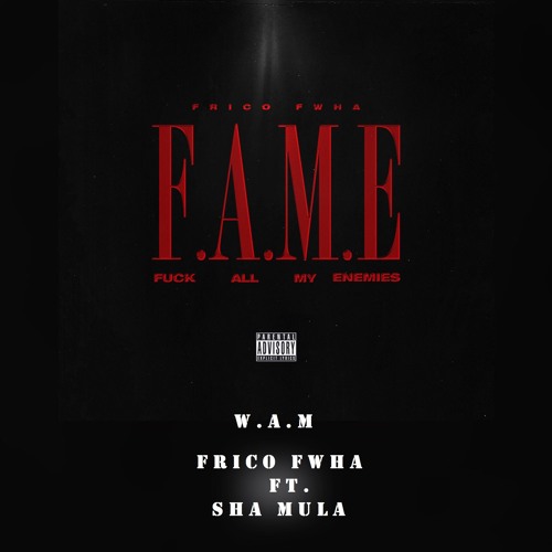 W.A.M Ft. Sha Mula