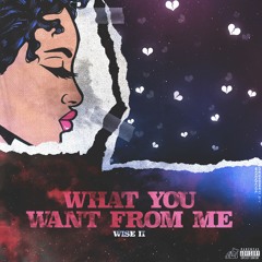 What You Want From Me [Prod. Wise II]