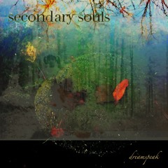 Secondary Souls
