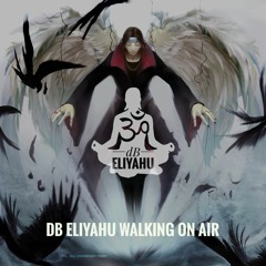 DB Eliyahu Walking On Air