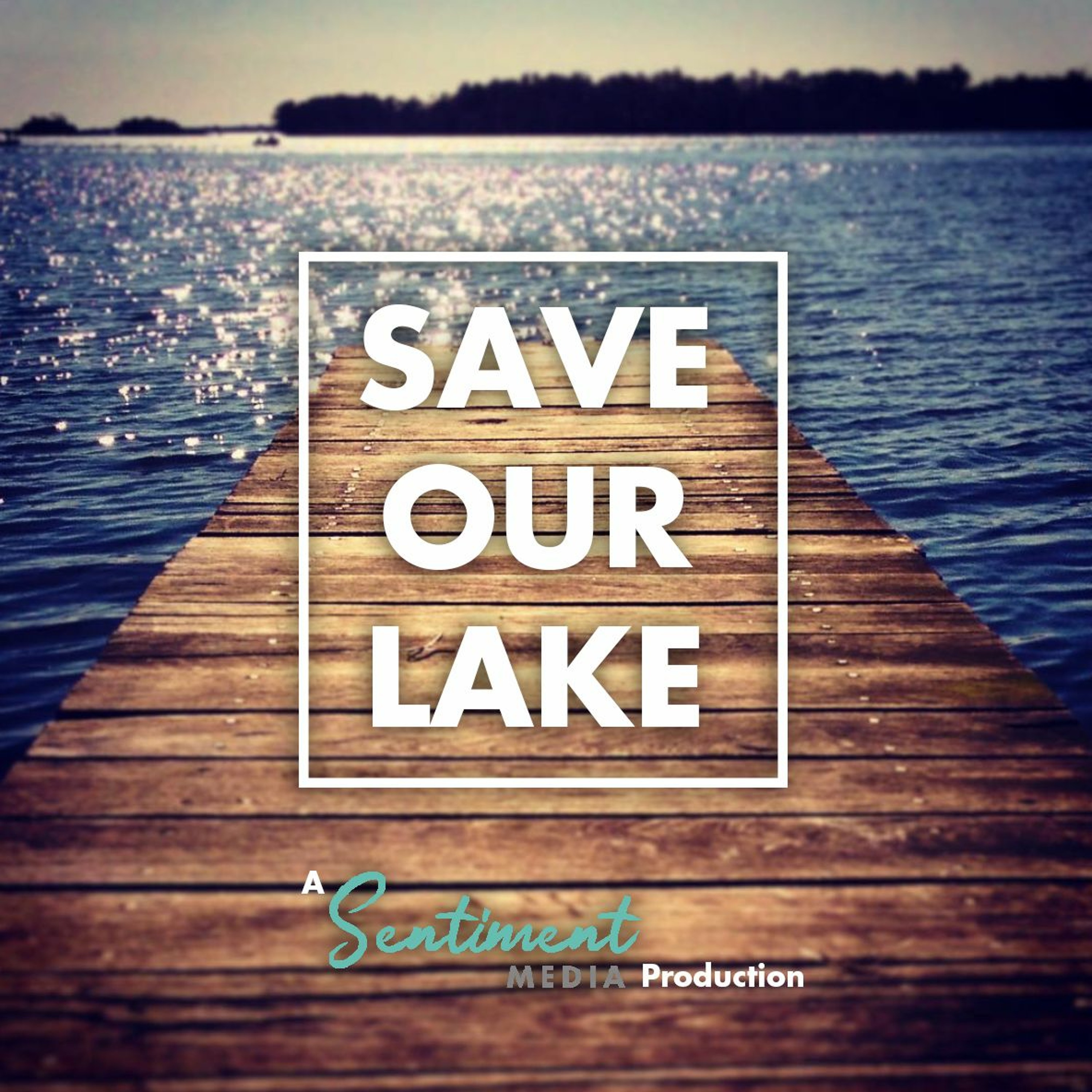 SAVE OUR LAKE - Introduction