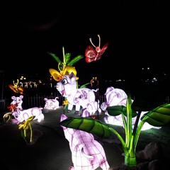 Marcher Écouter 4 - Hoi An Fete Du Tet