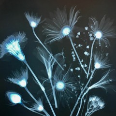 Still Feel Like I Miss You