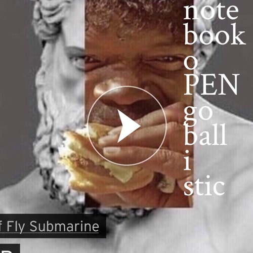 notebookopen goballistic