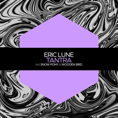 Premiere: Eric Lune - Wooden Bird [Juicebox Music]