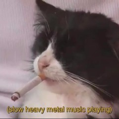 Lazy PIG(Sad cat lazy remix) - Unfamiliar Friends Party