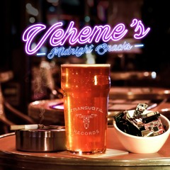 Veheme & Andromed - Norwegian Omelet