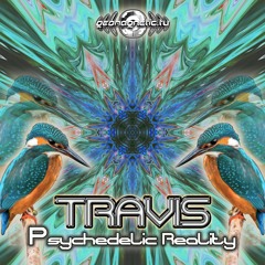 02 - Travis - Pixel Sandstorm