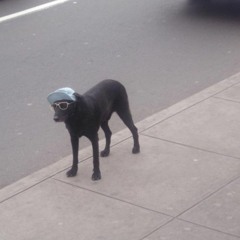 Student Athlete with Drums and other Instruments