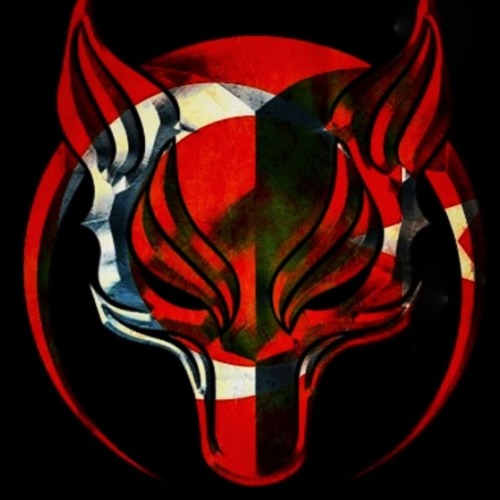 Bozkurt Tim Logosu
