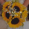 Shallow - Lady Gaga & Bradley Cooper