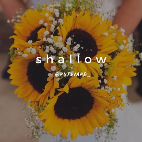 Shallow - Lady Gaga & Bradley Cooper