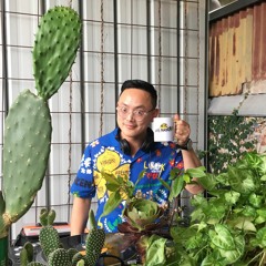Jimmy P (Kyoku Records)- MFB