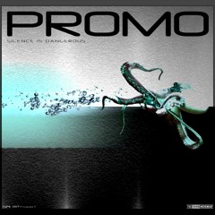 DJ Promo - Silence is dangerous