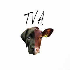TVA Episode 17 - A History of The Vegan Alliance