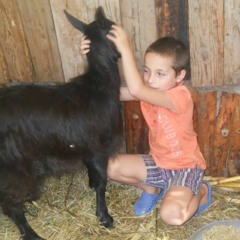 Tudor Andrei - Deasupra Ta