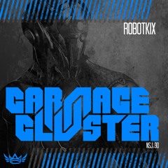 Carnage & Cluster - Robotkix (DJ Niel Mixing Edit)