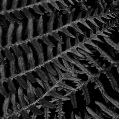 Listening To Series: 04