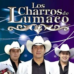 140 La Mesa Del Rincon Remix - Los Charros De Lumaco & Los Bandoleros Del Sur BY DJ TOMMY MIX