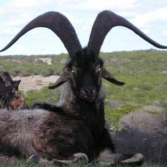 SATAN'S GOAT