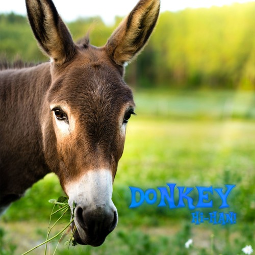 DONKEY' SHOT #01