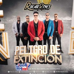 Rikar2nes - Peligro De Extinción [Nuevo 2019] (Audio Oficial)