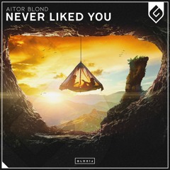 Aitor Blond - Never Liked You (Radio Edit)