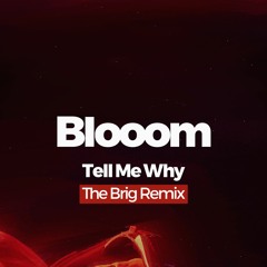 Blooom - Tell Me Why (The Brig Remix)