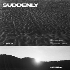 Premiere: Maximalism - Suddenly [House Of Youth]