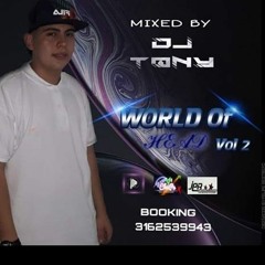 WORLD OF HEAD VOL 2 ( DJ TONY )
