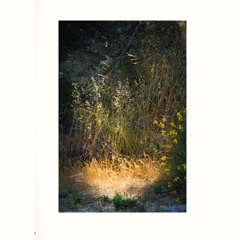 ALYX AW19  “Ex Nihilo”