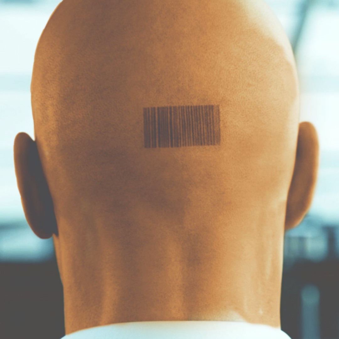 artworks-000483780888-cxq68v-