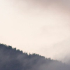 bigger than life - backings