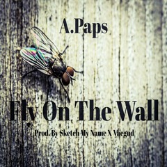 Fly On The Wall (Prod. By SketchMyName X Vaegud)