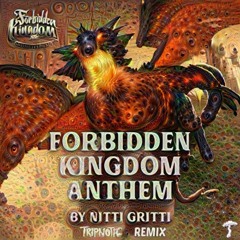 Nitti Gritti - Forbidden Kingdom Anthem (TRIPTONIC Remix)
