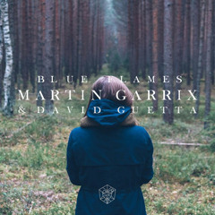 Martin Garrix & David Guetta - Blue Flames