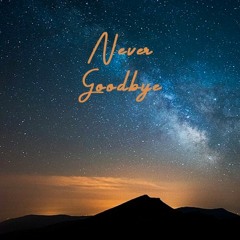 Never Goodbye